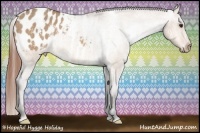 Horse Color:White Spotted Bay Dun Sabino Frame Appaloosa Rabicano Brindle