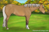 Horse Color:Silver Buckskin 