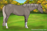 Horse Color:Silver Brown Dun