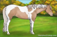 Horse Color:Silver Black Pearl Tobiano 