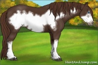 Horse Color:Liver Chestnut Frame 