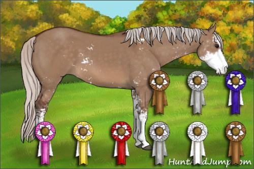 Horse Color: Silver Brown Dun Sabino 