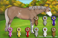 Horse Color:Silver Brown Dun Sabino 