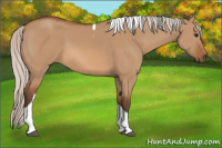 Horse Color:Silver Bay Dun Tobiano 