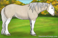 Horse Color:Watercolor Silver Buckskin Roan Dun Splash 