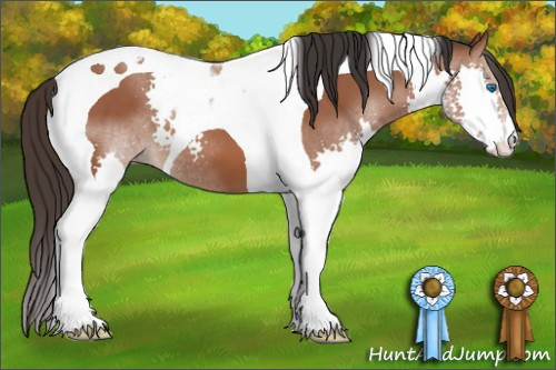 Horse Color: Bay Splash Tobiano 