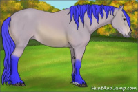 Horse Color:Watercolor Buckskin 