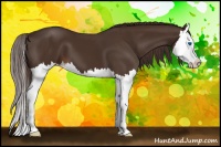 Horse Color:Liver Chestnut Splash