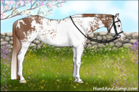 Horse Color:White Spotted Liver Chestnut Splash 