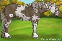Horse Color:Chocolate Palomino Ice 