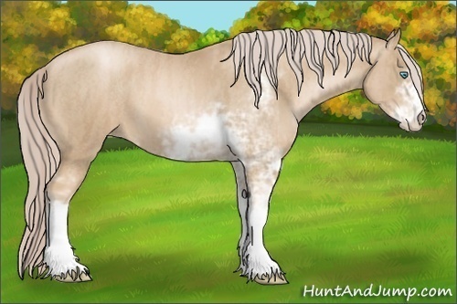 Horse Color: Chocolate Palomino Pearl Sabino  Brindle
