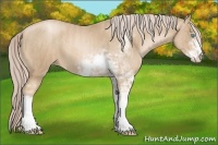 Horse Color:Chocolate Palomino Pearl Sabino  Brindle