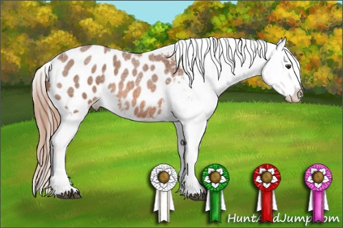 Horse Color: Red Roan Tobiano Blanket 