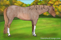 Horse Color:Liver Red Roan