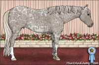 Horse Color:Silver Smoky Blue Ice Roan 
