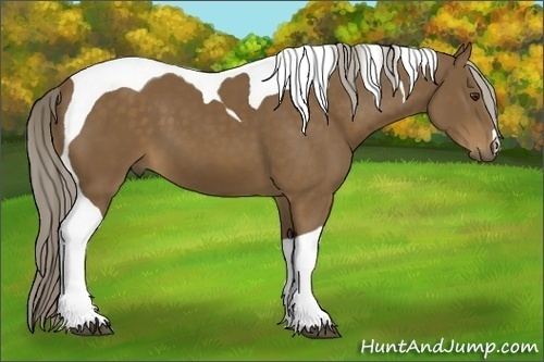 Horse Color: Chocolate Palomino Tobiano 