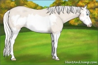 Horse Color:Silver Smoky Creme Roan Splash Frame