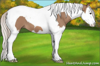 Horse Color:Silver Bay Dun Splash Tobiano