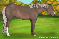 Horse Color:Silver Black 