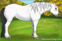 Horse Color:White Spotted Grullo Frame