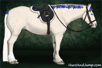Horse Color:Cremello Sabino 