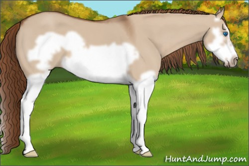 Horse Color: Red Dun Splash Frame 