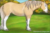 Horse Color:White Spotted Gold Cream Champagne Dun Splash 