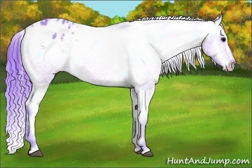 Horse Color: Watercolor Bay Roan Blanket 