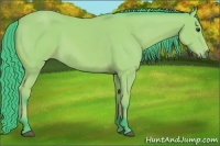 Horse Color:Watercolor Bay 