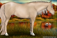 Horse Color:Chocolate Palomino Pearl