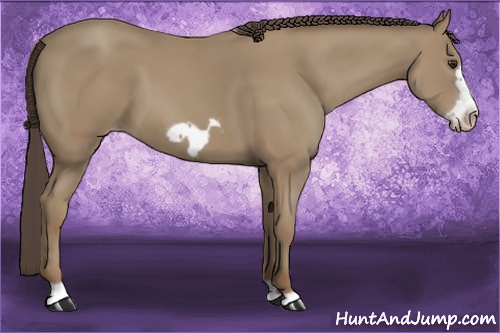 Horse Color: Classic Champagne Frame 