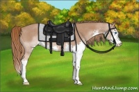 Horse Color:Chestnut Splash Rabicano 