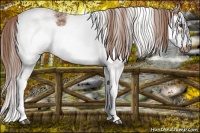 Horse Color:White Spotted Chestnut Splash Frame 