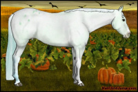 Horse Color:Watercolor Brown Appaloosa 