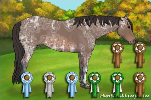 Horse Color: Bay Ice Roan 
