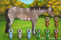 Horse Color:Bay Ice Roan 