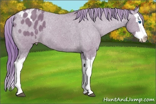 Horse Color: Watercolor Bay Splash Blanket 