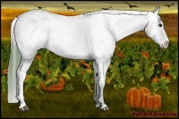 Horse Color:Watercolor Bay Appaloosa 