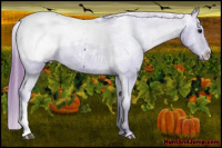 Horse Color:Watercolor Brown Appaloosa 