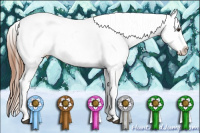 Horse Color:Red Dun Appaloosa 