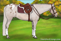Horse Color:Silver Bay Roan Appaloosa 