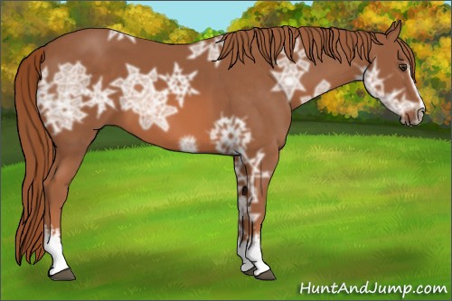 Horse Color: White Spotted Liver Chestnut Ice 
