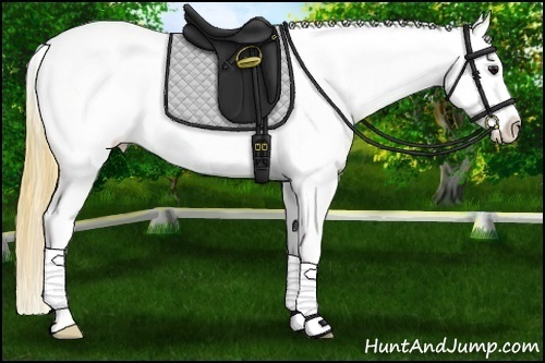 Horse Color: Buckskin Ice Roan Splash Blanket 
