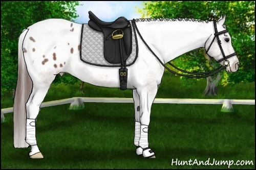 Horse Color: Brown Roan Tobiano Blanket 