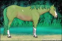 Horse Color:Watercolor Bay Splash Tobiano 