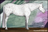 Horse Color:Plaid  Bay Leopard 