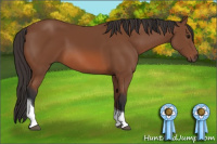 Horse Color:Bay Tobiano 