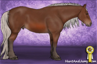 Horse Color:Silver Bay 