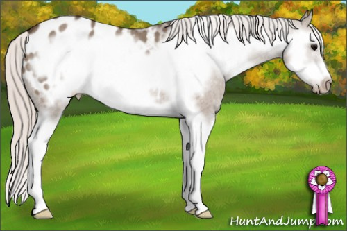 Horse Color: Silver Grullo Sabino Splash Frame Blanket 