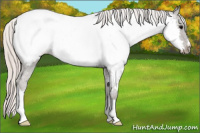 Horse Color:Silver Brown Roan Near Fewspot 